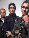 feeder-1.jpg (31232 bytes)