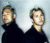 feeder2003.jpg (115831 bytes)