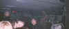 flive6.jpg (39948 bytes)
