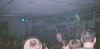 flive9.jpg (49709 bytes)
